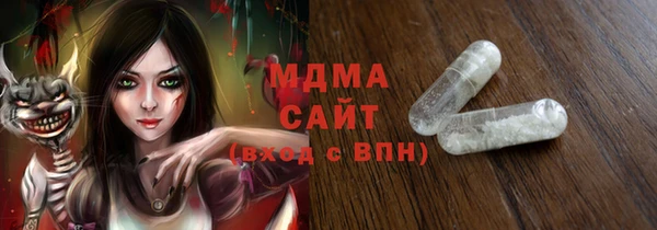 МДПВ Бородино
