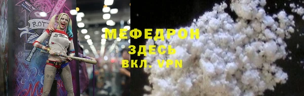 МДПВ Бородино
