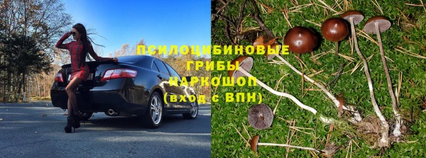 первитин Богородицк