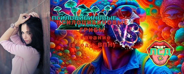 первитин Богородицк