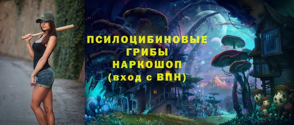 стафф Богданович