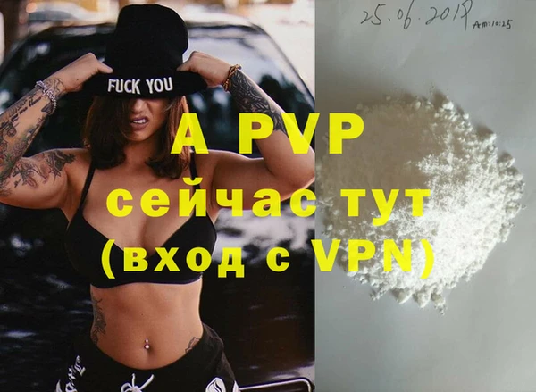 стафф Богданович