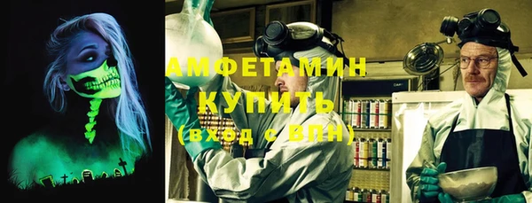 индика Бугульма