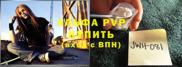 стафф Богданович